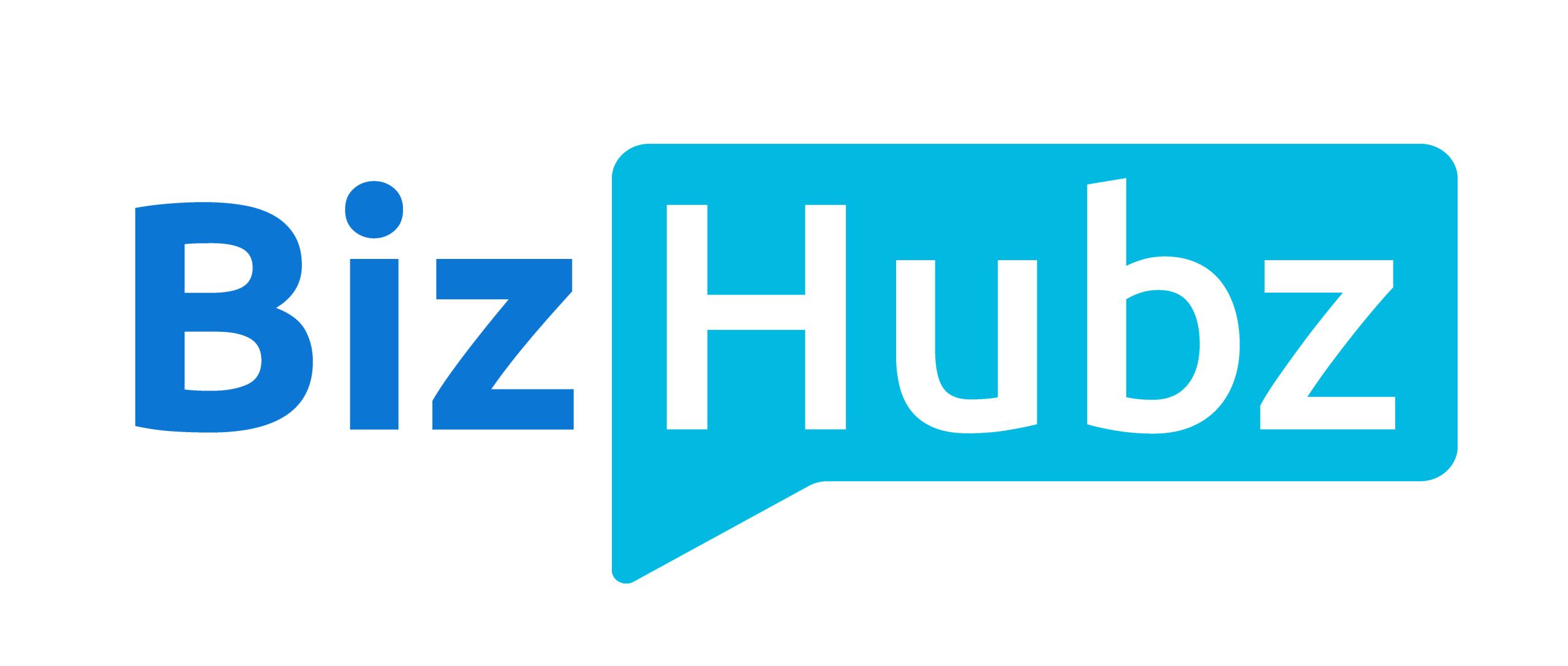 BizHubz Dashboard